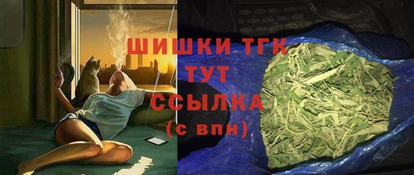 PSILOCYBIN Верхний Тагил