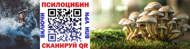 Купить закладки  Курганинск  Галлюциногенные грибы Magic Shrooms 