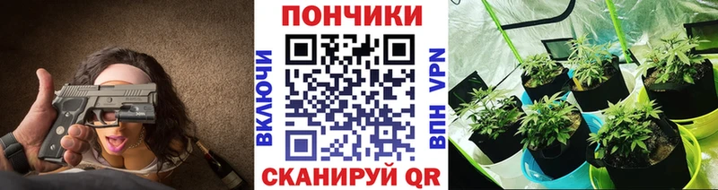 Бошки Шишки OG Kush  Купить  Курганинск 
